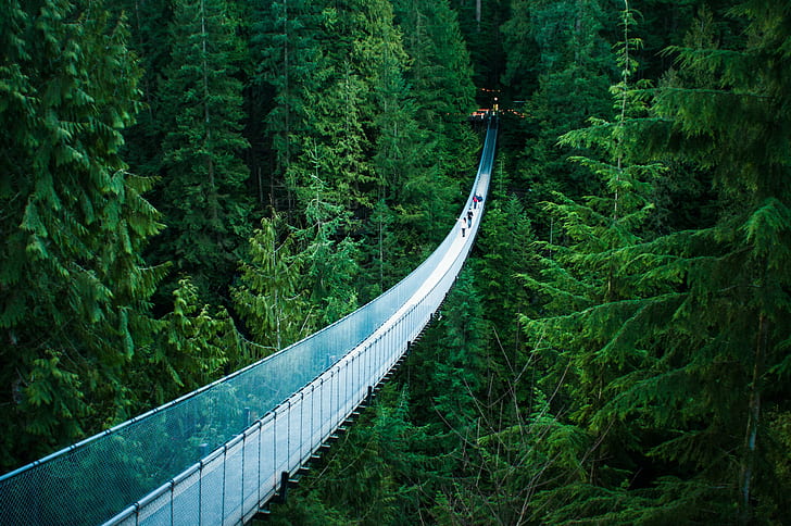 Capilano Suspension Bridge