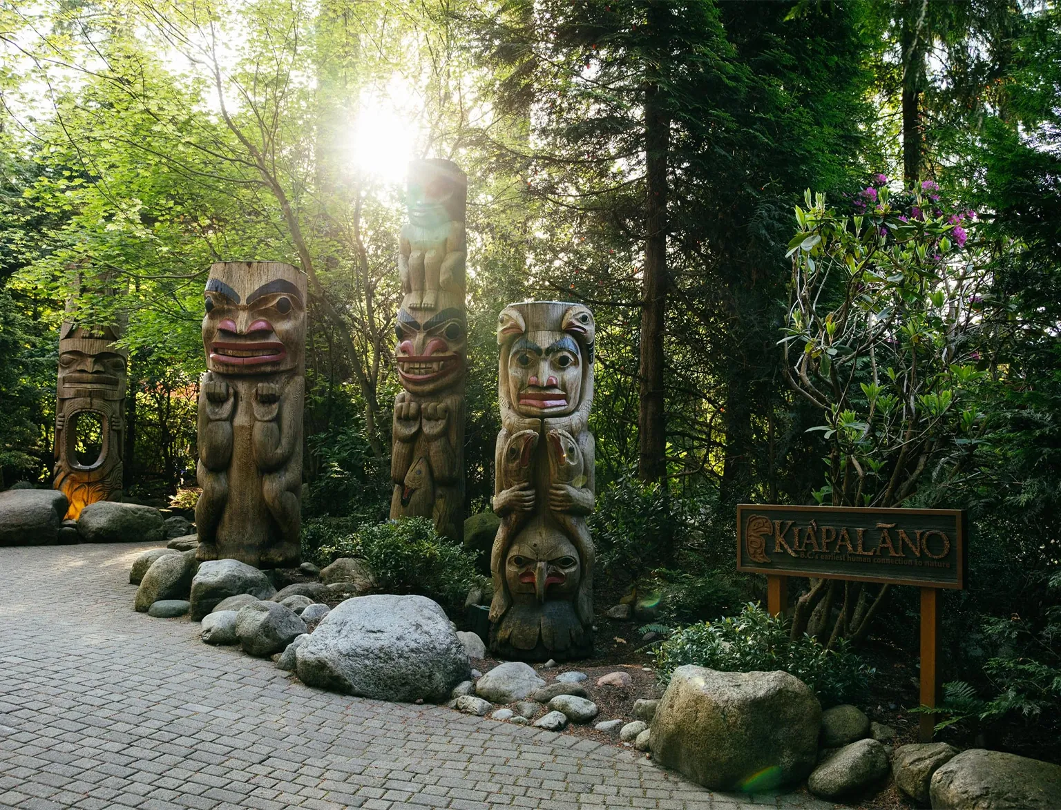 North Shore Alpine & Capilano 5