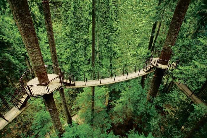 North Shore Alpine & Capilano