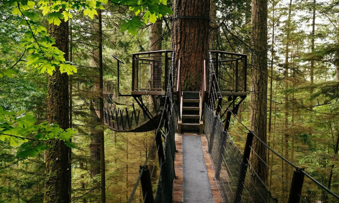 North Shore Alpine & Capilano 11