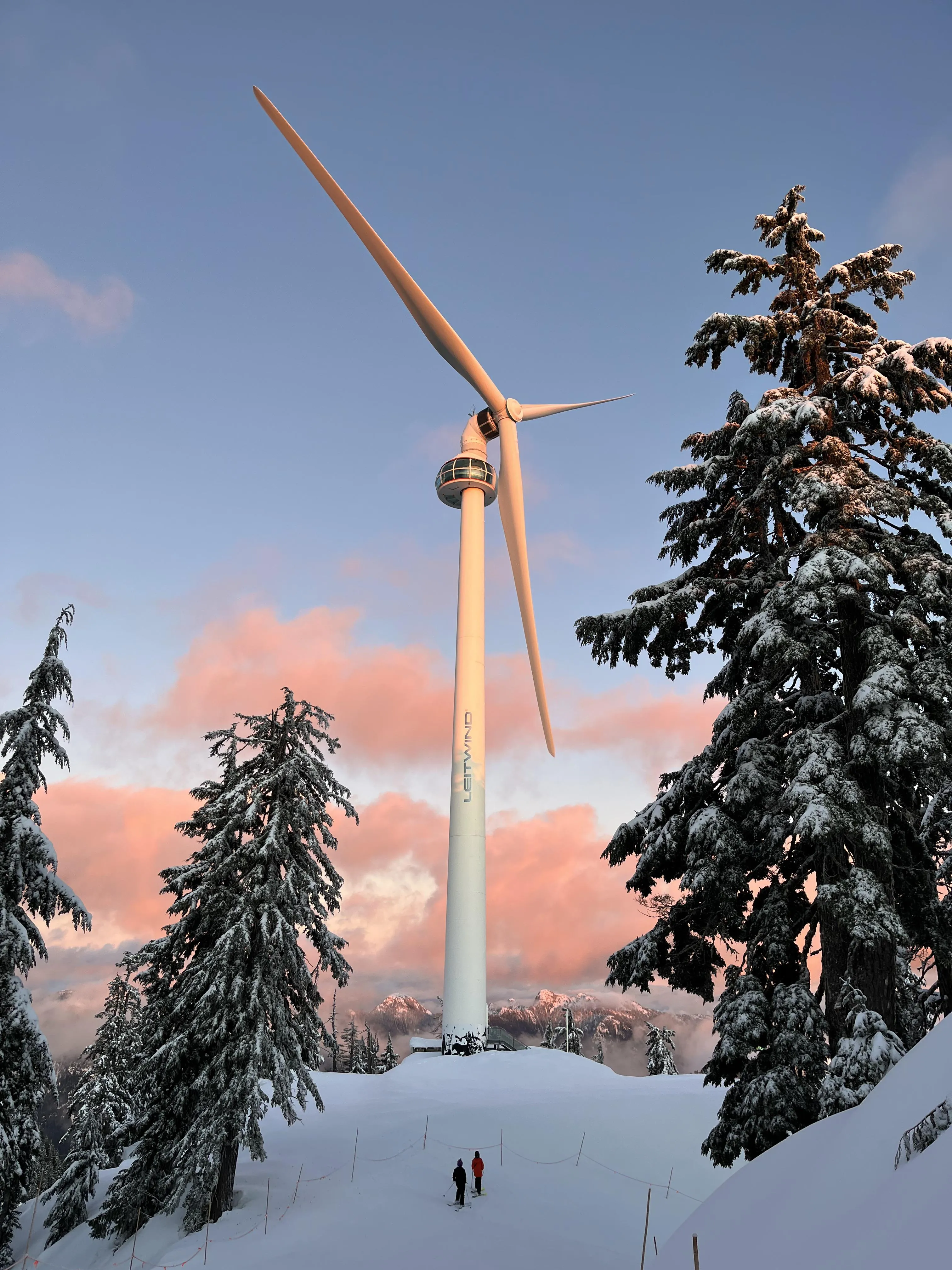 Grouse Mountain Alpine Tour 7