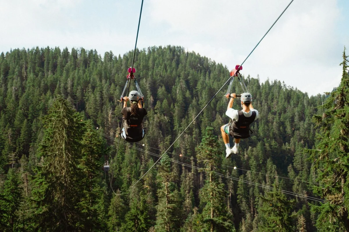 Grouse Mountain Alpine Tour 8