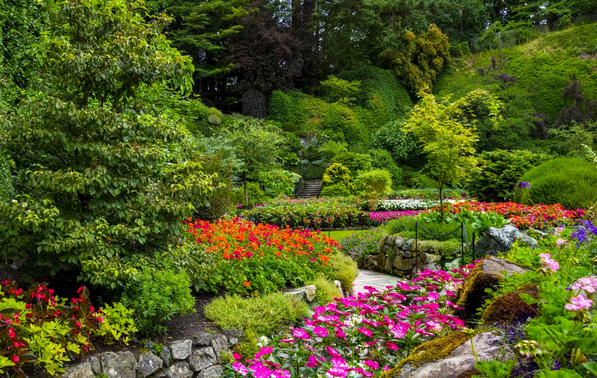 Victoria & Butchart Gardens 6